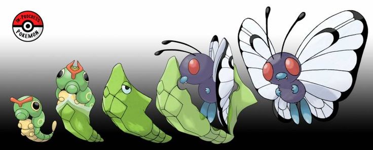 Why Mankey Business Sells Booster Boxes for $1 Profit: A Deep Dive into Our Long-Term Strategy