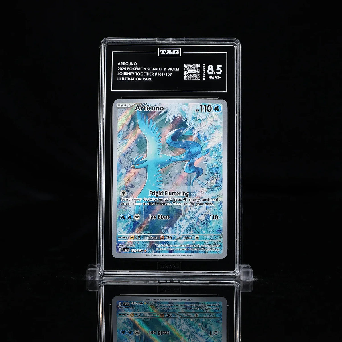 Articuno - Pokemon Journey Together #161 TAG 8.5